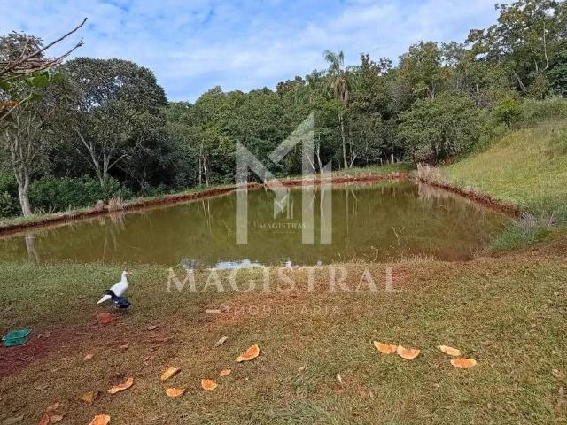Sítio e chácara venda em Região Geográfica Imediata de Cascavel, Cascavel