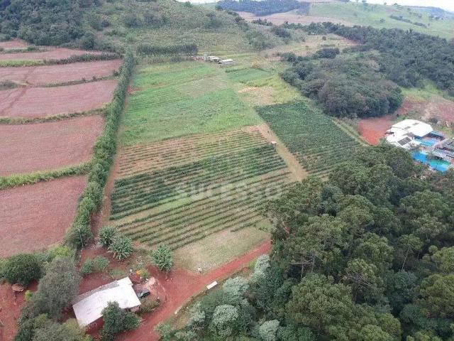 Sítio e chácara venda em Região Geográfica Imediata de Cascavel, Cascavel