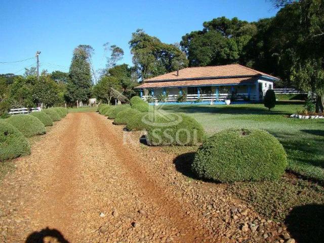 Sítio e chácara venda em Região Geográfica Imediata de Cascavel, Cascavel