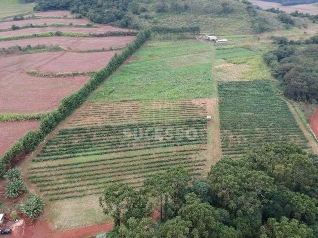 Sítio e chácara venda em Região Geográfica Imediata de Cascavel, Cascavel
