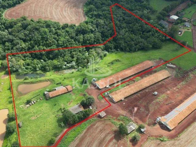Sítio e chácara venda em Região Geográfica Imediata de Cascavel, Cascavel
