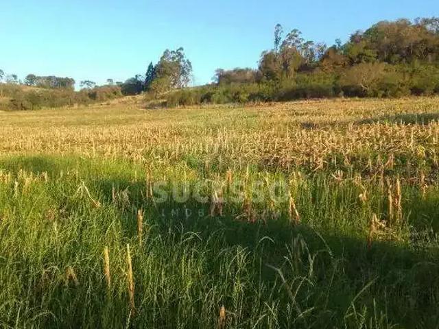Sítio e chácara venda em Região Geográfica Imediata de Cascavel, Cascavel