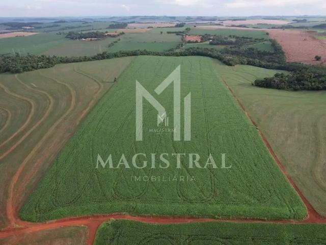 Sítio e chácara venda em Região Geográfica Imediata de Cascavel, Cascavel