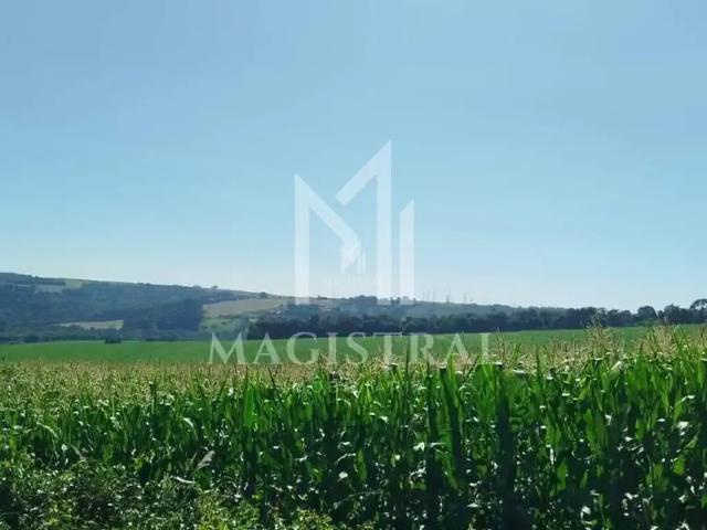 Sítio e chácara venda em Região Geográfica Imediata de Cascavel, Cascavel