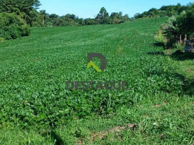 Sítio e chácara venda em Região Geográfica Imediata de Cascavel, Cascavel
