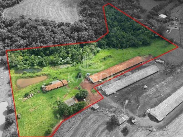 Sítio e chácara venda em Região Geográfica Imediata de Cascavel, Cascavel