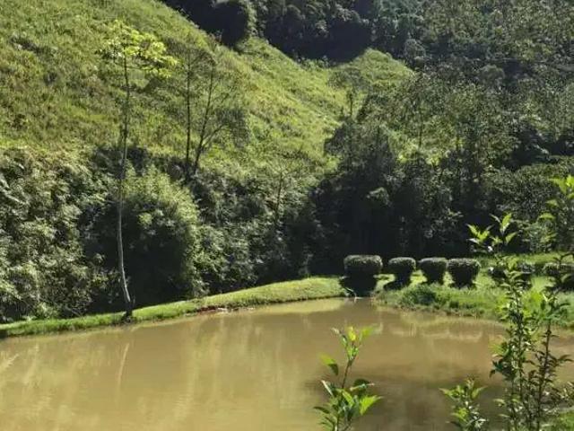 Sítio e chácara venda em Barra de São João, Casimiro de Abreu