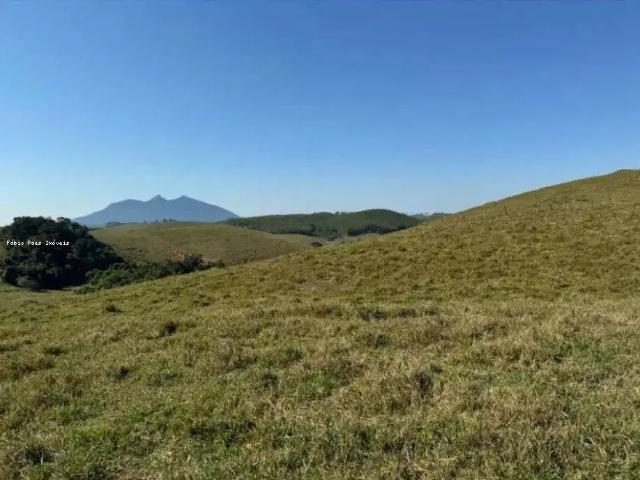 Sítio e chácara venda em Região Geográfica Imediata de Macaé-Rio das Ostras, Casimiro de Abreu