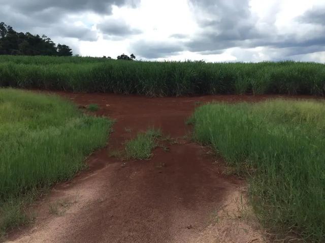 Sítio e chácara venda em Região Imediata de Ribeirão Preto, Região Metropolitana de Ribeirão Preto