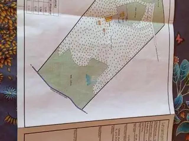Sítio e chácara venda em Região Imediata de Ribeirão Preto, Região Metropolitana de Ribeirão Preto
