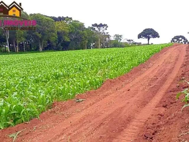 Sítio e chácara venda em Região Geográfica Imediata de Ponta Grossa, Castro