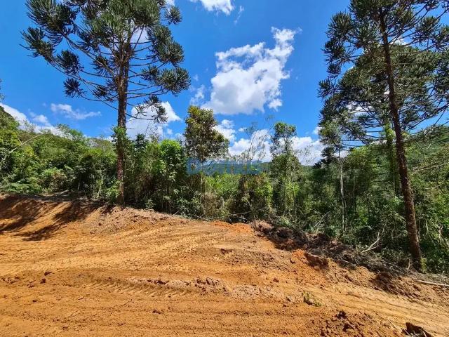 Sítio e chácara venda em Região Geográfica Imediata de Ponta Grossa, Castro