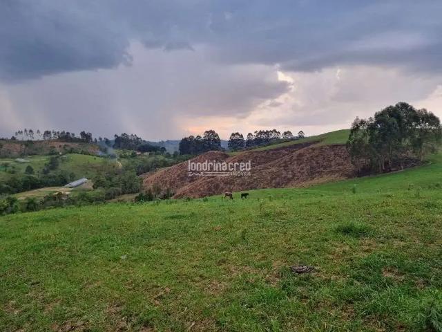 Sítio e chácara venda em Região Geográfica Imediata de Ponta Grossa, Castro