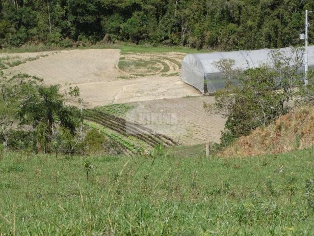 Sítio e chácara venda em Região Geográfica Imediata de Ponta Grossa, Castro