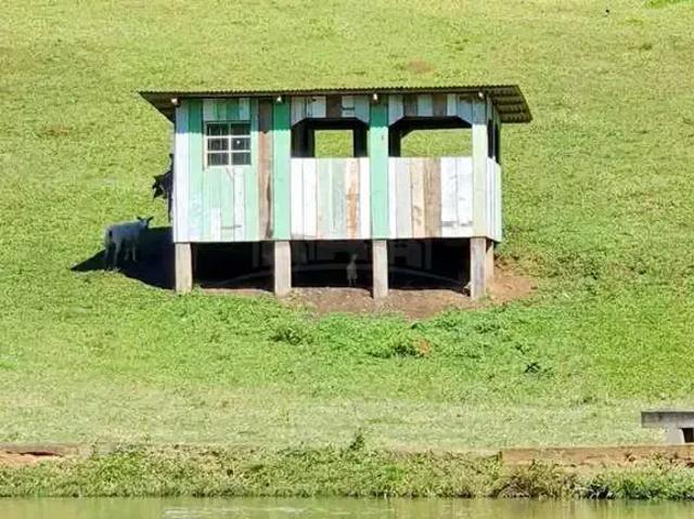 Sítio e chácara venda em Região Geográfica Imediata de Ponta Grossa, Castro