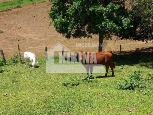 Sítio e chácara venda em Região Geográfica Imediata de Ponta Grossa, Castro