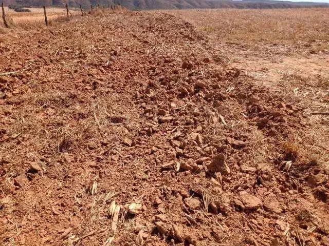 Sítio e chácara venda em Região Geográfica Imediata de Catalão, Catalão
