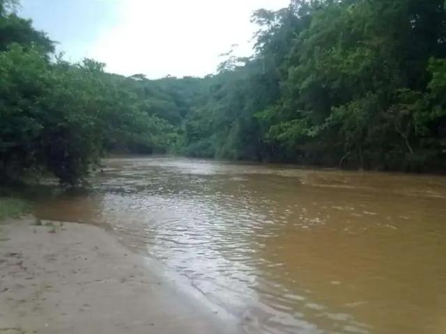 Sítio e chácara venda em Região Geográfica Imediata de Catalão, Catalão