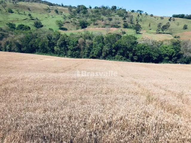 Sítio e chácara venda em Catanduvas, Região Geográfica Intermediária de Cascavel