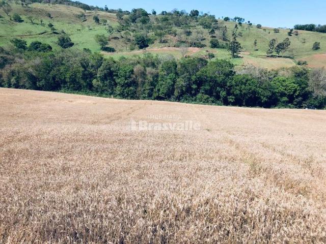 Sítio e chácara venda em Catanduvas, Região Sul