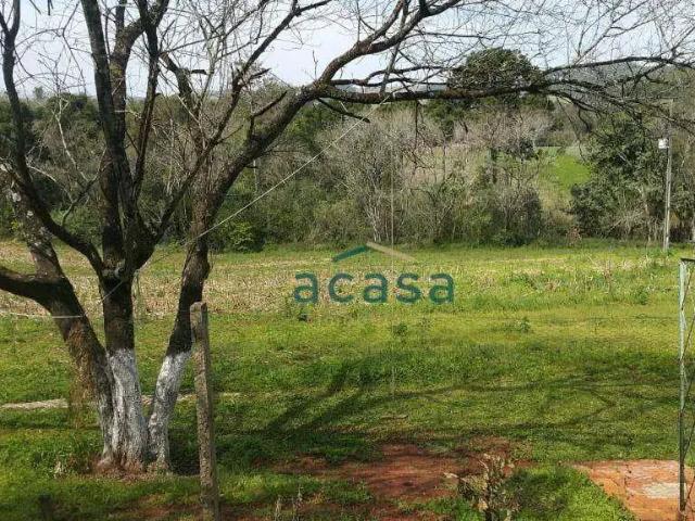 Sítio e chácara venda em Região Geográfica Imediata de Cascavel, Catanduvas