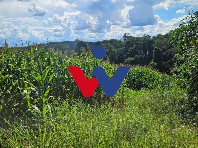 Sítio e chácara venda em Região Geográfica Imediata de Curitiba, Região Metropolitana de Curitiba