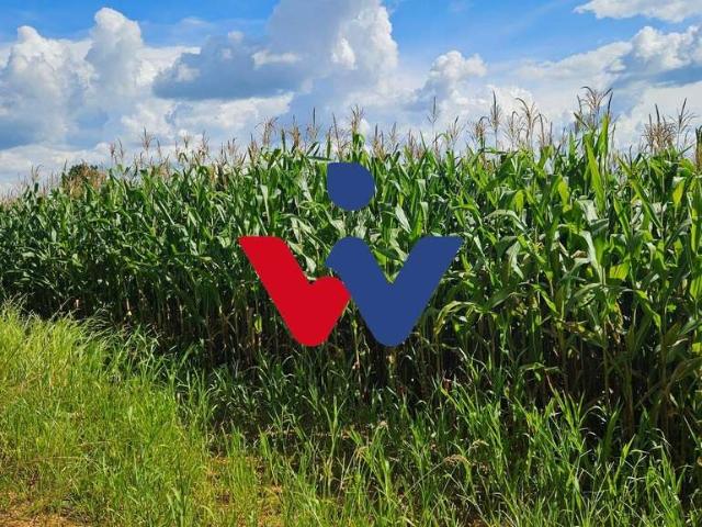 Sítio e chácara venda em Região Geográfica Imediata de Cascavel, Catanduvas
