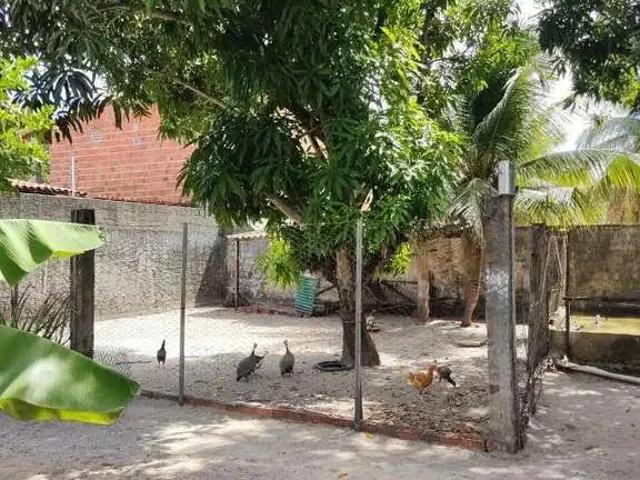 Sítio e chácara venda em Região Geográfica Imediata de Fortaleza, Caucaia