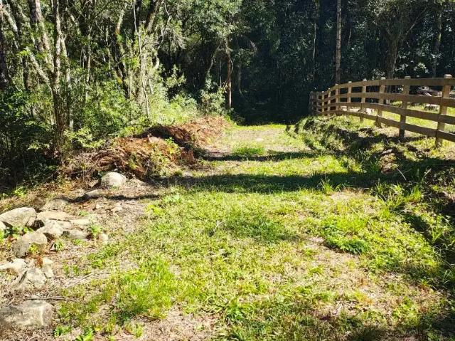 Sítio e chácara venda em Região Geográfica Imediata de Caxias do Sul, Caxias do Sul