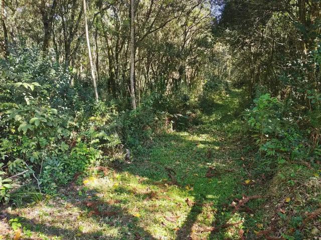 Sítio e chácara venda em Região Geográfica Imediata de Caxias do Sul, Caxias do Sul