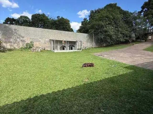 Sítio e chácara venda em Região Geográfica Imediata de Caxias do Sul, Caxias do Sul