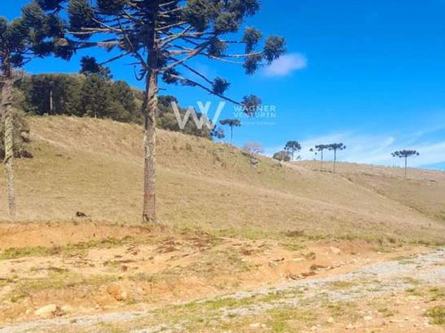 Sítio e chácara venda em Região Geográfica Imediata de Caxias do Sul, Caxias do Sul