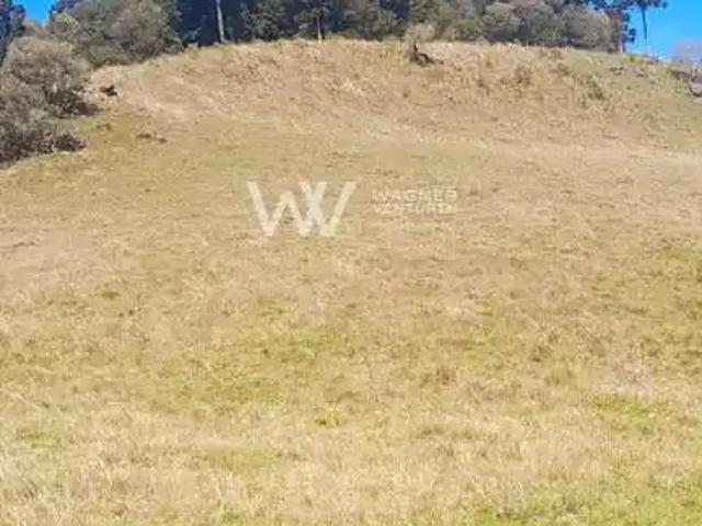 Sítio e chácara venda em Região Geográfica Imediata de Caxias do Sul, Caxias do Sul