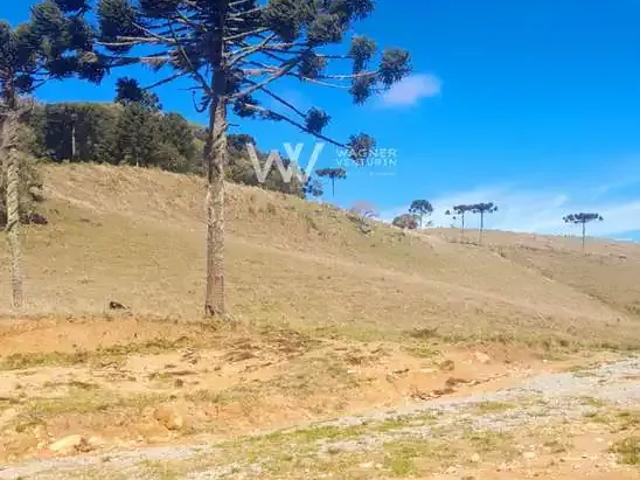 Sítio e chácara venda em Região Geográfica Imediata de Caxias do Sul, Caxias do Sul