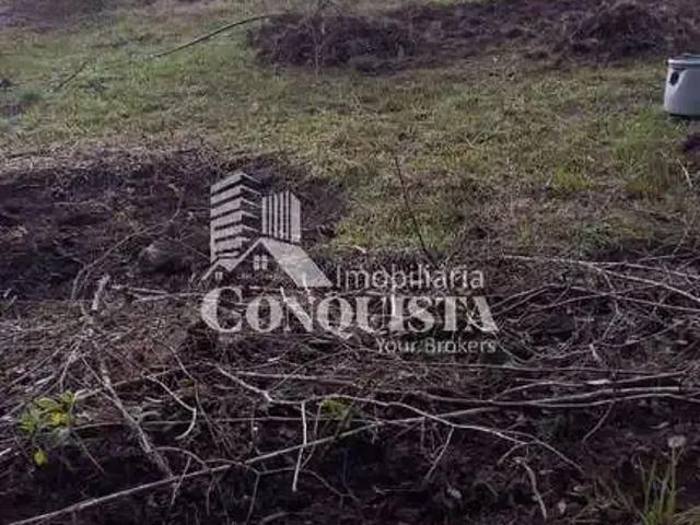 Sítio e chácara venda em Região Geográfica Imediata de Caxias do Sul, Caxias do Sul
