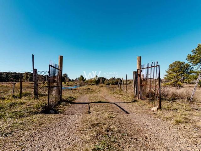 Sítio e chácara venda em Região Geográfica Imediata de Caxias do Sul, Caxias do Sul