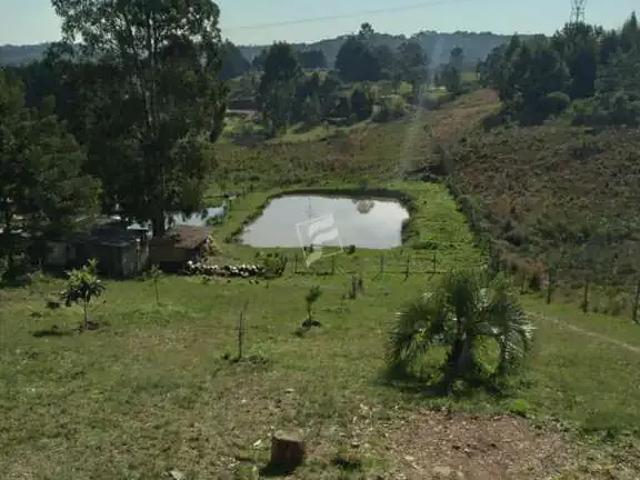 Sítio e chácara venda em Região Geográfica Imediata de Caxias do Sul, Caxias do Sul