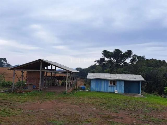 Sítio e chácara venda em Região Geográfica Imediata de Caxias do Sul, Caxias do Sul