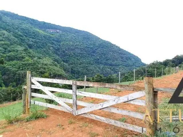 Sítio e chácara venda em Região Geográfica Imediata de Caxias do Sul, Caxias do Sul
