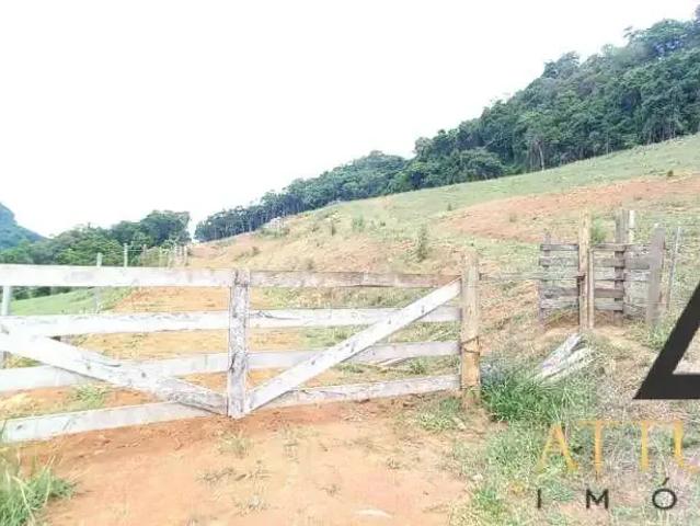Sítio e chácara venda em Região Geográfica Imediata de Caxias do Sul, Caxias do Sul