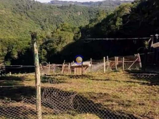 Sítio e chácara venda em Região Geográfica Imediata de Caxias do Sul, Caxias do Sul
