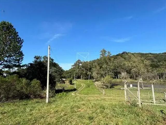 Sítio e chácara venda em Região Geográfica Imediata de Caxias do Sul, Caxias do Sul