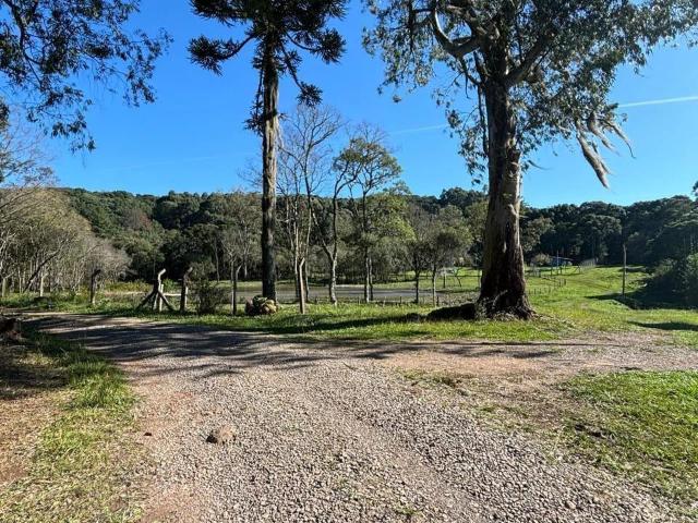 Sítio e chácara venda em Região Geográfica Imediata de Caxias do Sul, Caxias do Sul