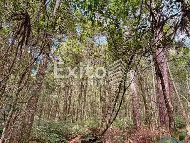 Sítio e chácara venda em Região Geográfica Imediata de Caxias do Sul, Caxias do Sul