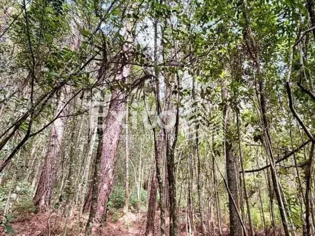 Sítio e chácara venda em Região Geográfica Imediata de Caxias do Sul, Caxias do Sul