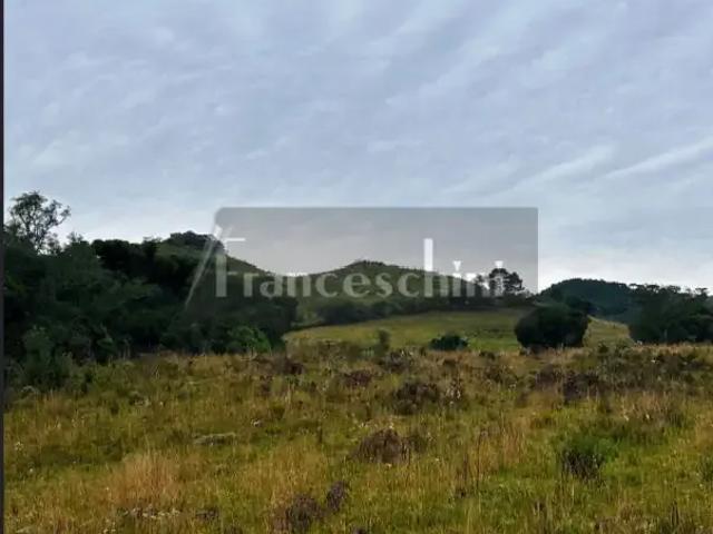 Sítio e chácara venda em Criúva, Caxias do Sul