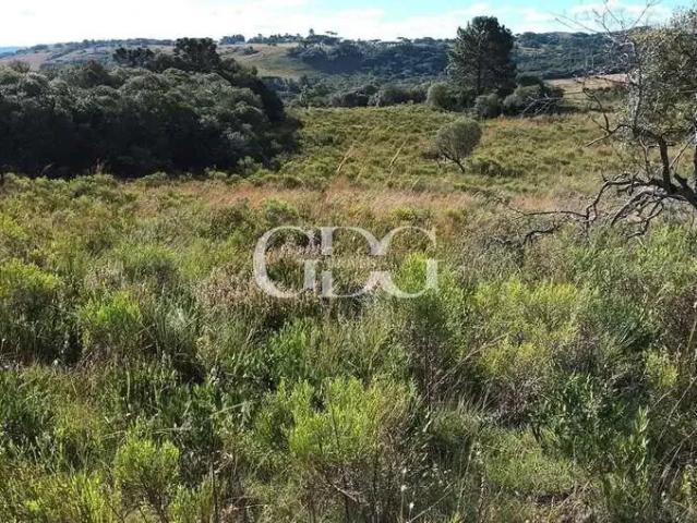 Sítio e chácara venda em Região Geográfica Imediata de Caxias do Sul, Caxias do Sul