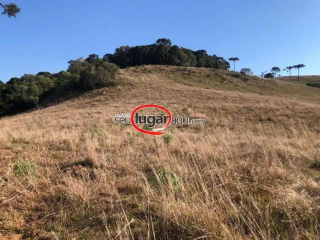 Sítio e chácara venda em Região Geográfica Imediata de Caxias do Sul, Caxias do Sul
