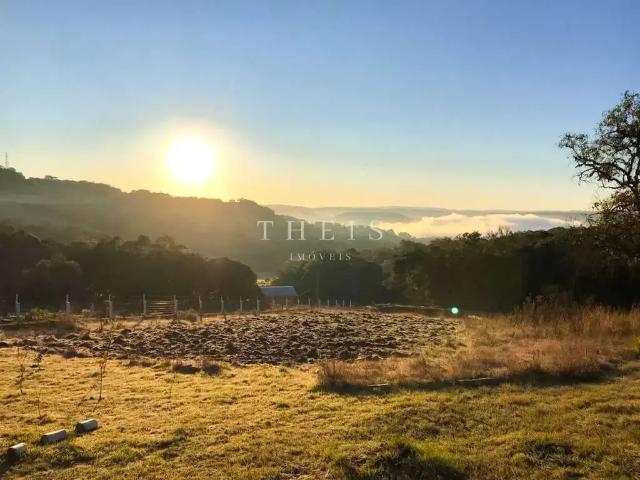 Sítio e chácara venda em Região Geográfica Imediata de Caxias do Sul, Caxias do Sul