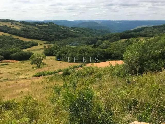 Sítio e chácara venda em Região Geográfica Imediata de Caxias do Sul, Caxias do Sul